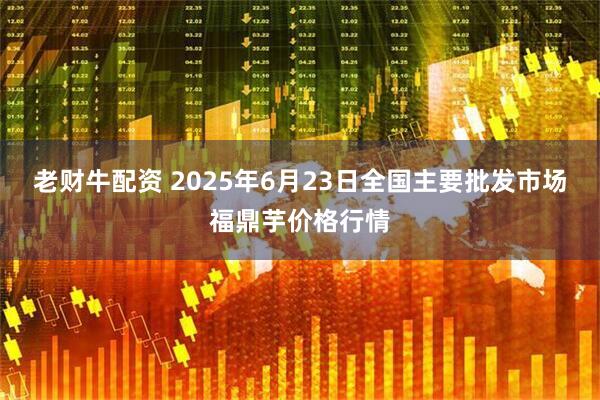 老财牛配资 2025年6月23日全国主要批发市场福鼎芋价格行情