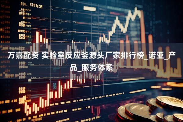 万嘉配资 实验室反应釜源头厂家排行榜_诺亚_产品_服务体系