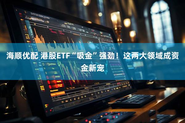 海顺优配 港股ETF“吸金”强劲！这两大领域成资金新宠