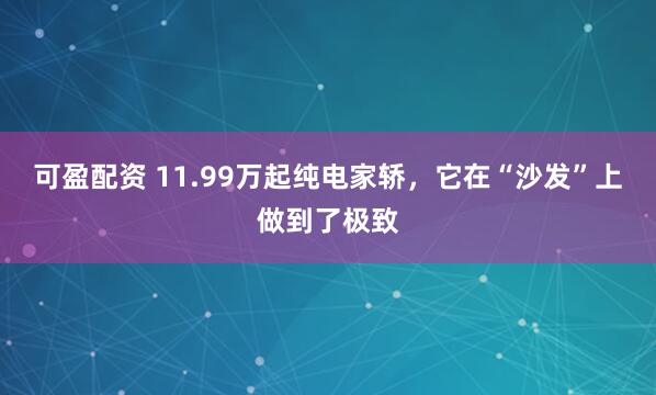 可盈配资 11.99万起纯电家轿，它在“沙发”上做到了极致